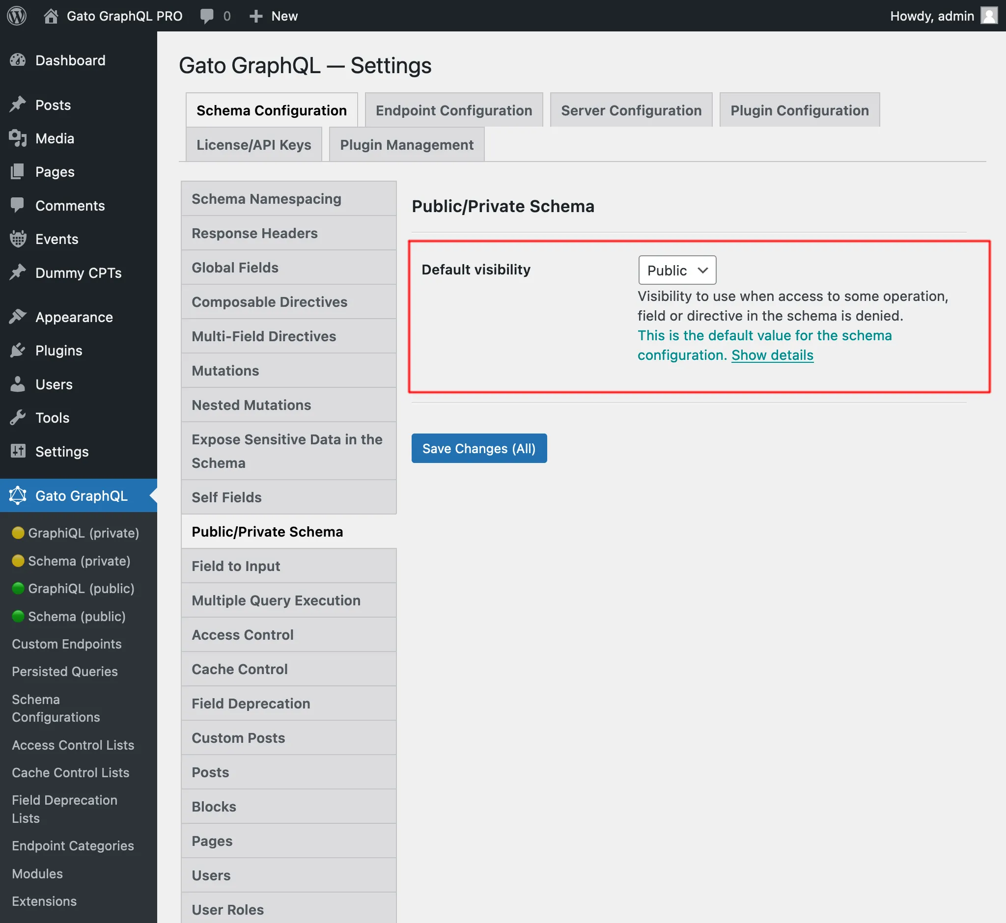 Default Public/Private schema mode